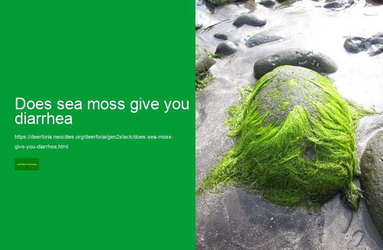 organic wild sea moss